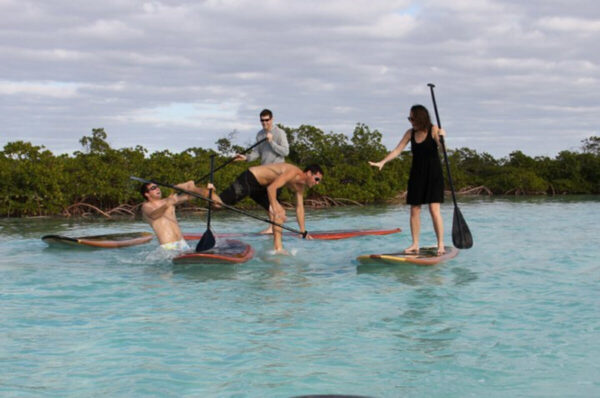 10' 70/30 Paddle Board - Image 9