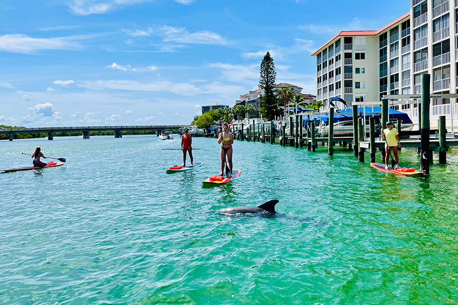 three brothers paddle board tour of ft myers